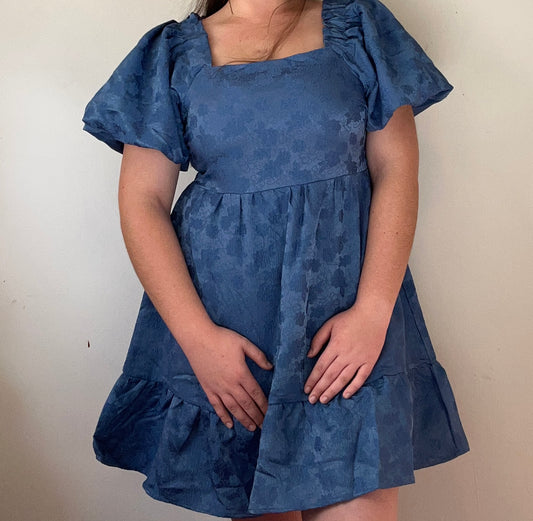 Garden Dreams Dress - Denim